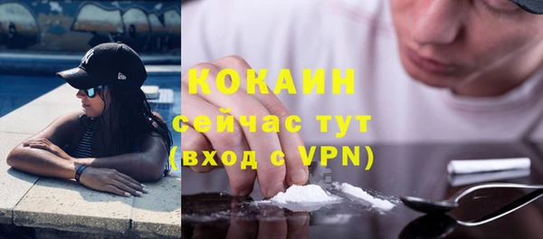 сатива Краснослободск