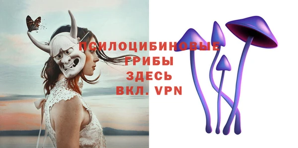 apvp Красноперекопск