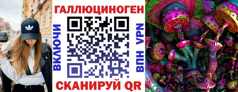 сайты даркнета телеграм  Навашино  Псилоцибиновые грибы Psilocybe  что такое  